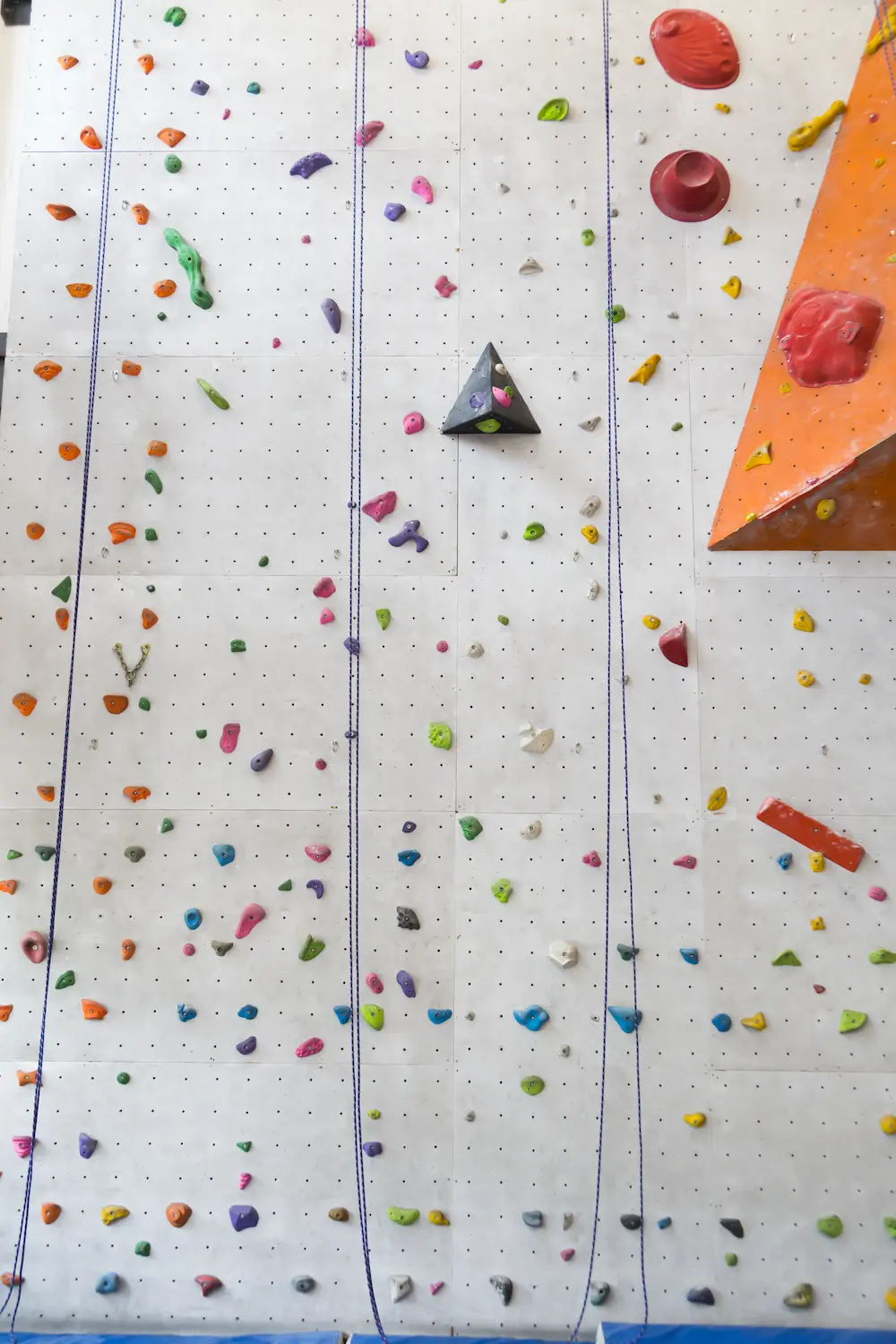 Lead Wall – Parete di corda